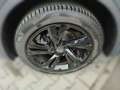 Volkswagen Tiguan 1.5 TSI DSG R-Line*Black Style*Navi*AHK* Grau - thumbnail 6