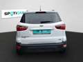 Ford EcoSport Cool & Connect SHZ Alarm Notbremsass. Temp PDC Ber Bianco - thumbnail 5