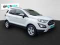 Ford EcoSport Cool & Connect SHZ Alarm Notbremsass. Temp PDC Ber Bianco - thumbnail 3