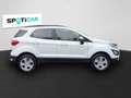 Ford EcoSport Cool & Connect SHZ Alarm Notbremsass. Temp PDC Ber Bianco - thumbnail 4