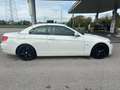 BMW 320 320d Cabrio Eletta AUTOMATICA Blanc - thumbnail 3