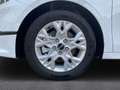 Kia Ceed SW / cee'd SW VISION 1.5 T-GDI *KOMFORT-PLUS-PAKET*NAVIGATIONSSY Blanco - thumbnail 11