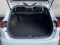 Kia Ceed SW / cee'd SW VISION 1.5 T-GDI *KOMFORT-PLUS-PAKET*NAVIGATIONSSY Blanco - thumbnail 9