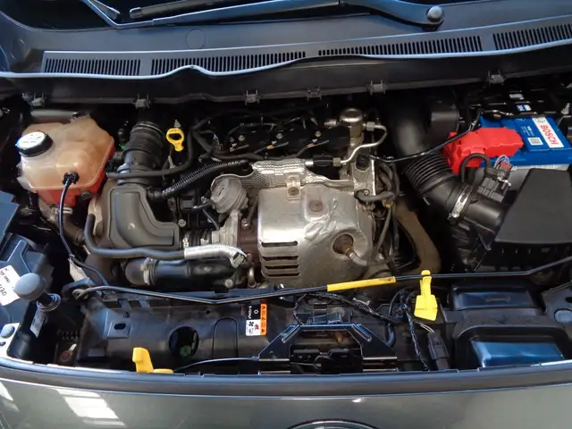Ford Tourneo Courier view 13