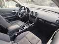 Audi A3 A3 1.9 TDi 8P Noir - thumbnail 10