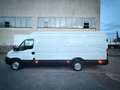 Iveco Daily 2.3L MAXI HOCH&LANG*TÜV NEU*210.000KM Blanc - thumbnail 5
