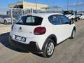 Citroen C3 BlueHDi 100 S&S Business 2 POSTI Bianco - thumbnail 5