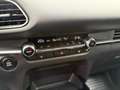 Mazda CX-30 e-Skyactive G140 Homura Weiß - thumbnail 10