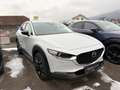 Mazda CX-30 e-Skyactive G140 Homura Weiß - thumbnail 3