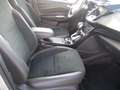 Ford Kuga 4WD ST-Line, Xenon, Key Free, Navi, AHK, 19" Alu Silber - thumbnail 12