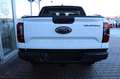 Ford Ranger Wildtrak DOKA V6 240 PS 3,99% FIN* AHK Alb - thumbnail 6