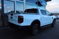 Ford Ranger Wildtrak DOKA V6 240 PS 3,99% FIN* AHK Alb - thumbnail 8