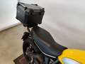 Ducati Scrambler 800 ICON YELLOW Giallo - thumbnail 8