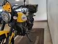 Ducati Scrambler 800 ICON YELLOW Giallo - thumbnail 3