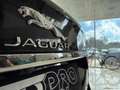 Jaguar XF 2.0 D 180 CV aut. Pure Noir - thumbnail 3