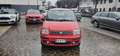 Fiat Panda 1.2 Dynamic Rot - thumbnail 2