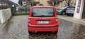 Fiat Panda 1.2 Dynamic Rot - thumbnail 9
