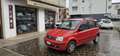 Fiat Panda 1.2 Dynamic Rot - thumbnail 1