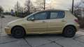 Peugeot 307 Oro - thumbnail 3