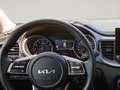 Kia Ceed / cee'd ceed 1,0 T-GDI GPF Silber *unfallfrei* Grün - thumbnail 12