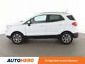 Ford EcoSport 1.0 EcoBoost Titanium Aut.*PDC*SHZ*AHK*KLIMA* Weiß - thumbnail 3