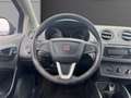 SEAT Ibiza 1.9 TDI 90 FAP Réference Gris - thumbnail 13
