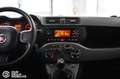 Fiat Panda 1.0 FireFly S&S Hybrid - Ok Neopatentati Bianco - thumbnail 11