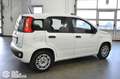Fiat Panda 1.0 FireFly S&S Hybrid - Ok Neopatentati Bianco - thumbnail 6