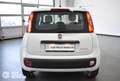 Fiat Panda 1.0 FireFly S&S Hybrid - Ok Neopatentati Bianco - thumbnail 5