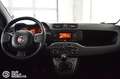 Fiat Panda 1.0 FireFly S&S Hybrid - Ok Neopatentati Bianco - thumbnail 10