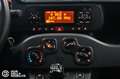 Fiat Panda 1.0 FireFly S&S Hybrid - Ok Neopatentati Bianco - thumbnail 12