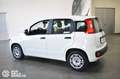 Fiat Panda 1.0 FireFly S&S Hybrid - Ok Neopatentati Bianco - thumbnail 4