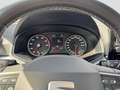 SEAT Ibiza 1.0 TSI Style Bluetooth LED PDC Sitzheiz Schwarz - thumbnail 9