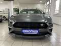 Ford Mustang 5.0 Ti-VCT V8 GT Aut. Navi* MagneRide* Gris - thumbnail 4