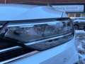 Volkswagen Passat Variant 1.4 TSI Hybrid DSG GTE Kamera Weiß - thumbnail 18