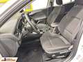 Ford Focus 1.5 Kombi Titanium Navi/LED/2xPDC Blanc - thumbnail 8