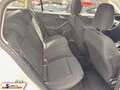 Ford Focus 1.5 Kombi Titanium Navi/LED/2xPDC Blanc - thumbnail 11