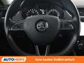 Skoda Octavia 1.6 TDI Ambition Grau - thumbnail 19