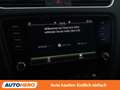 Skoda Octavia 1.6 TDI Ambition Grau - thumbnail 23
