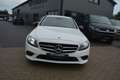 Mercedes-Benz C 220 T d 4Matic AMG Sportpaket Weiß - thumbnail 12