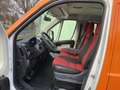 Fiat Ducato 250 Doppelkabine Dreiseitenkipper Orange - thumbnail 12