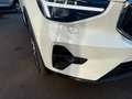 Volvo XC40 B3 Core-AHK-Kamera-Modell 2025 Weiß - thumbnail 9