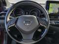 Toyota C-HR Hybrid Flow Mehrzonenklima DAB SHZ Keyless Entry K Rojo - thumbnail 12