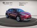 Toyota C-HR Hybrid Flow Mehrzonenklima DAB SHZ Keyless Entry K Rojo - thumbnail 7
