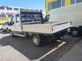 Ford Transit DK-Pritsche L2 ALLRAD NETTO 16.500.- Pickerl 8/26! Weiß - thumbnail 3