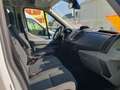 Ford Transit DK-Pritsche L2 ALLRAD NETTO 16.500.- Pickerl 8/26! Weiß - thumbnail 8