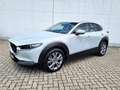 Mazda CX-30 2.5L  G140 6AT 2WD EXCLUSIVE - LINE Weiß - thumbnail 3