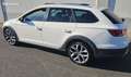SEAT Leon x-perience 2.0 tdi 184 cv 4 Blanc - thumbnail 4