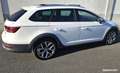 SEAT Leon x-perience 2.0 tdi 184 cv 4 Blanc - thumbnail 3