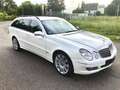 Mercedes-Benz E 500 T 7G-TRONIC DESIGNO Avantgarde - TÜV NEU !! Blanco - thumbnail 1